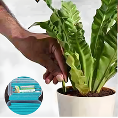 Gronaa Plant Grow Fertilizer Sticks For Plants - 50 Stick Pack of 2 & 4