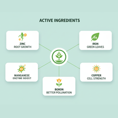 Paras Micro Booster Micronutrient Mixture Fertilizer ( Soil Grade) 1 Kg