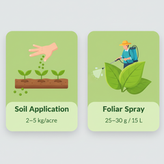 Paras Micro Booster Micronutrient Mixture Fertilizer ( Soil Grade) 1 Kg