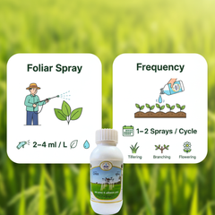 Chand chaap Nano Urea Liquid Fertilizer, Water-Soluble Plant Nutrient for Home Gardening, Lawns, Vegetables, Fruits & Flowers – 500 ML