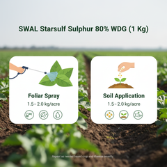 SWAL Starsulf Sulphur 80% WDG 1Kg