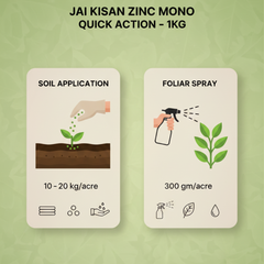 Jai Kisan Zinc Mono (Quick Action) 1Kg