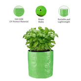 Gronaa HDPE 260 GSM Growbags for suitable for terrace gardening 9*9 inch Pack of 3