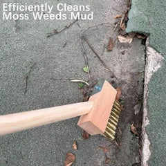 Hard Wire Weed Removal Brush Tool