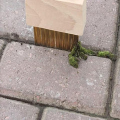 Hard Wire Weed Removal Brush Tool