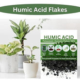 Gronaa Humic Acid for Plants (Potassium Humate Flakes) 200gm