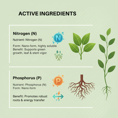 GROMOR NanoDAP Plant Nutrient – Eco-Friendly Liquid Fertilizer for Home Garden & Indoor Plants – 1 Litre