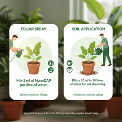 GROMOR NanoDAP Plant Nutrient – Eco-Friendly Liquid Fertilizer for Home Garden & Indoor Plants – 1 Litre