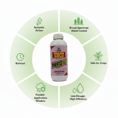 NFL Kisan Gold Bispyribac Sodium 10% SC Systemic Herbicide 1L