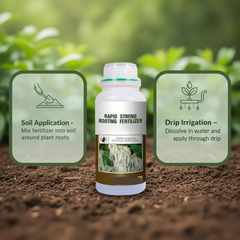 Rapid Strong Rooting Fertilizer 200 gm Pack of 2