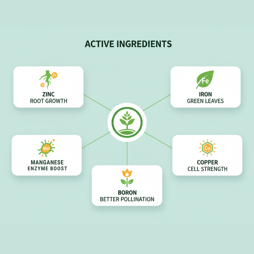 Paras Micro Booster Micronutrient Mixture Fertilizer ( Soil Grade) 1 Kg