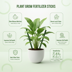 Gronaa Plant Grow Fertilizer Sticks For Plants - 50 Stick Pack of 2 & 4
