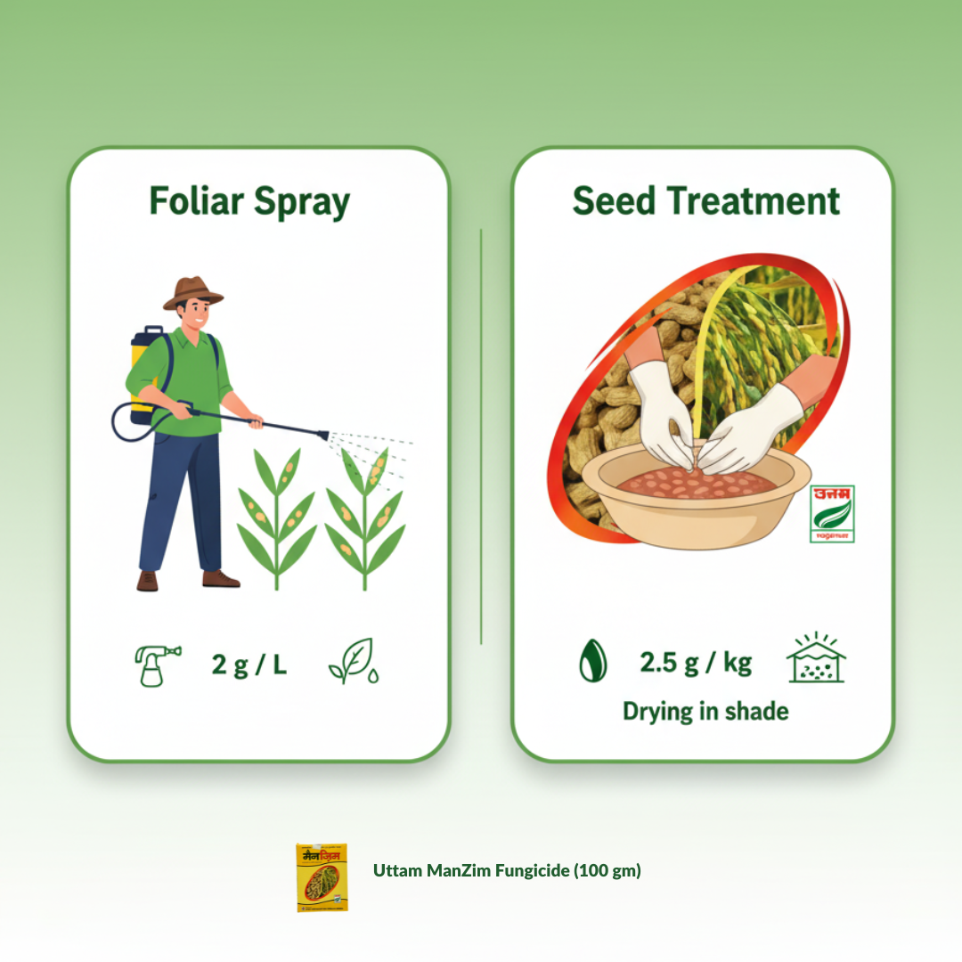 Uttam ManZim (Systemic & Contacvt Fungicide 100gm