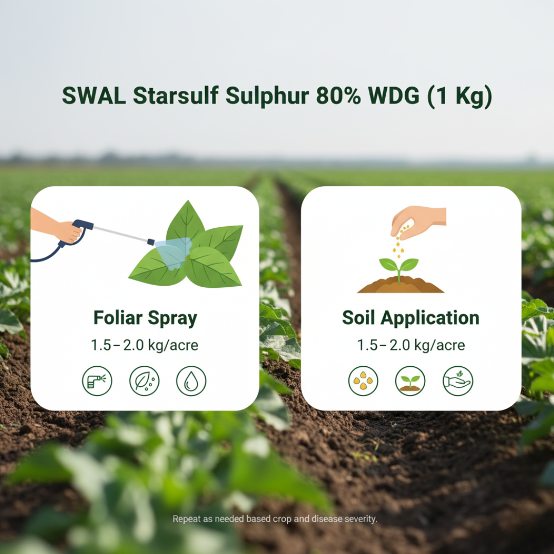 SWAL Starsulf Sulphur 80% WDG 1Kg