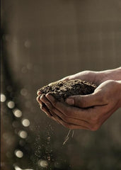 Gronaa Organic Vermicompost 500gm
