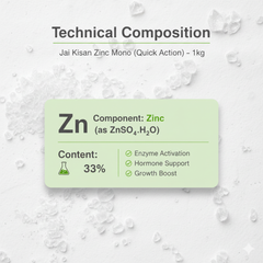 Jai Kisan Zinc Mono (Quick Action) 1Kg
