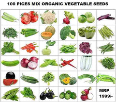 Organic Mix Varieties 100 Pices Seeds With 5 Pices Grow Bag