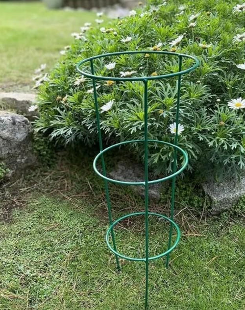 3 Layer Plant Support Cage