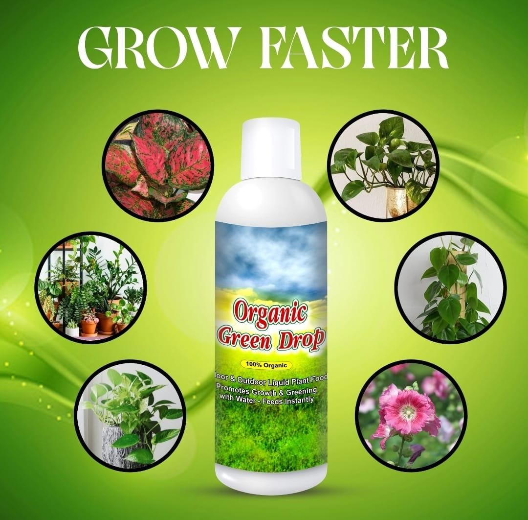 Gronaa Organic GreenDrop Plant Food Liquid Fertilizer For Plant Growth & Greening Pack of 1