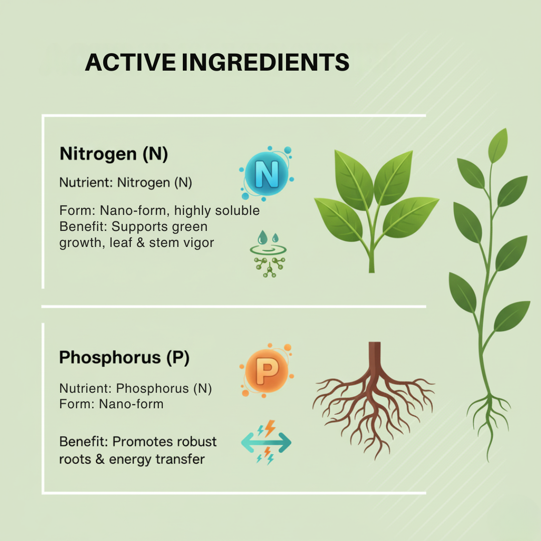 GROMOR NanoDAP Plant Nutrient – Eco-Friendly Liquid Fertilizer for Home Garden & Indoor Plants – 1 Litre