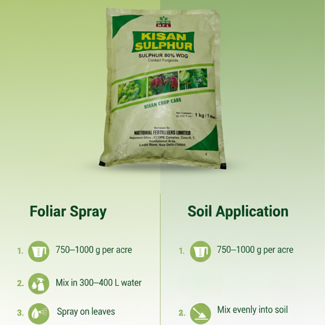 NFL Kisan Sulphur Sulphur 80% WDG Contact Fungicide 1Kg