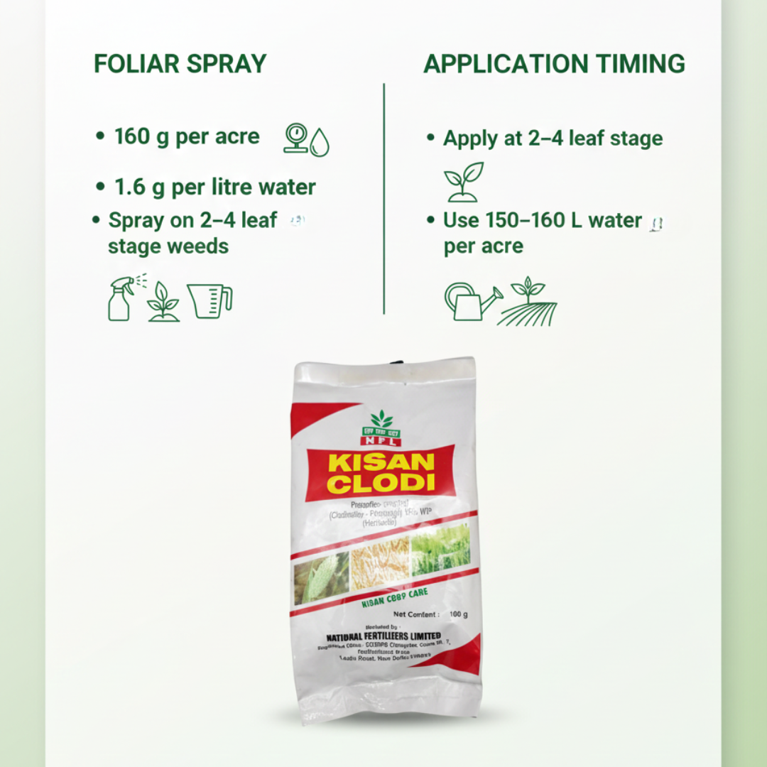 NFL Kisan Clodi Piroxofop-propinyl (Clodinafop- Propargyl) 15% WP Herbicide 160 G