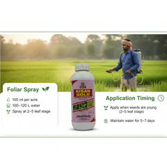NFL Kisan Gold Bispyribac Sodium 10% SC Systemic Herbicide 1L