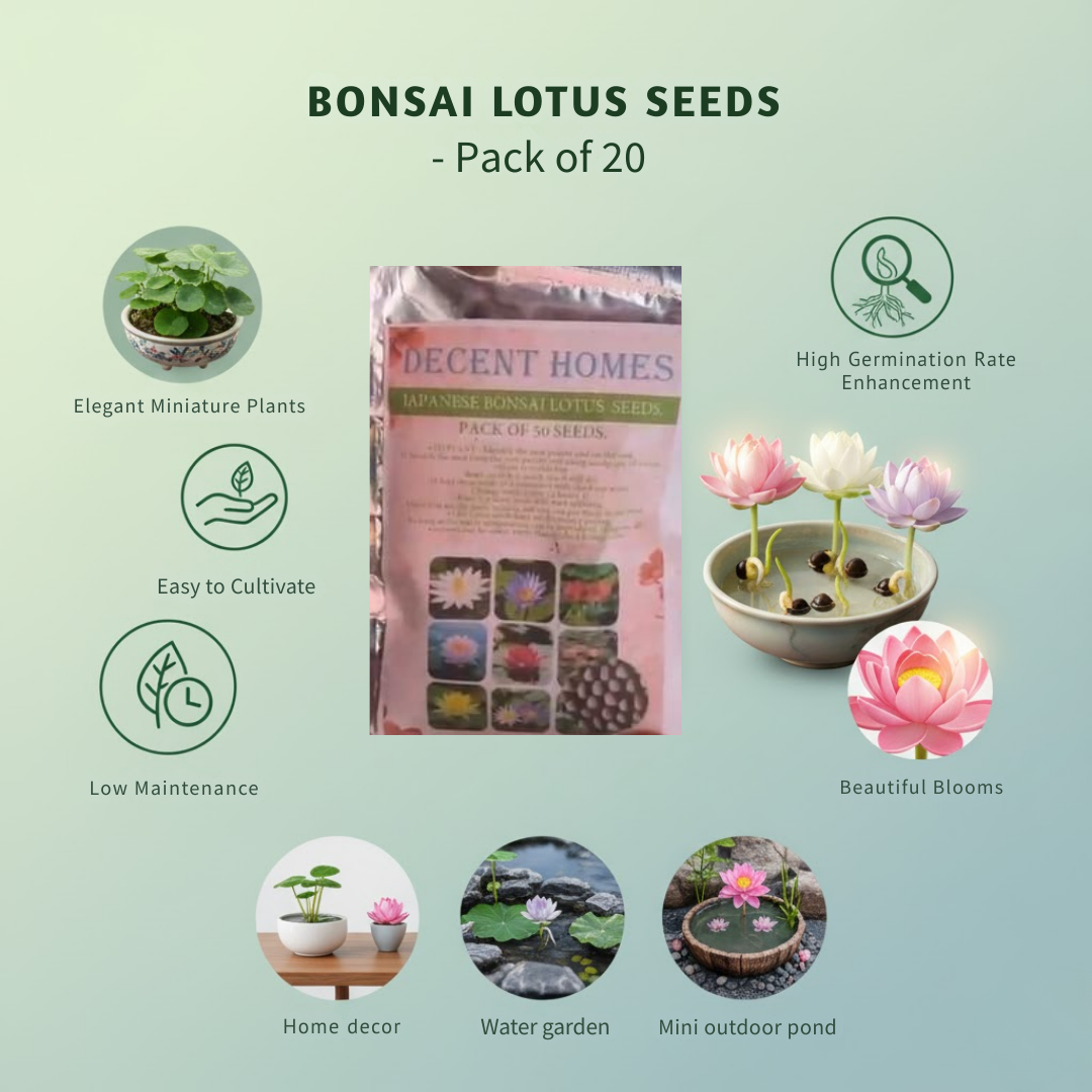 20 Pcs Japanese Bonsai Lotus Seeds Pack of 1