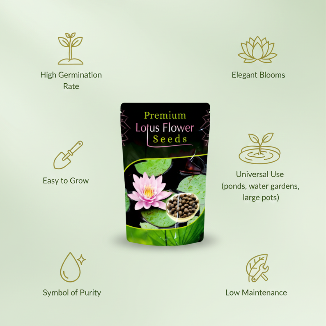 Gronaa Lotus Flower Seeds For Home Garden Planting