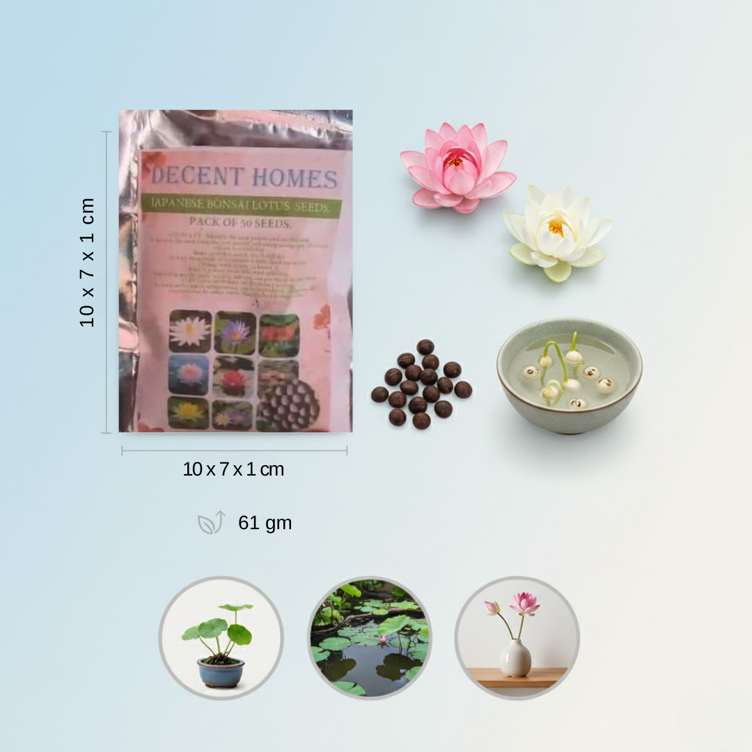 20 Pcs Japanese Bonsai Lotus Seeds Pack of 1