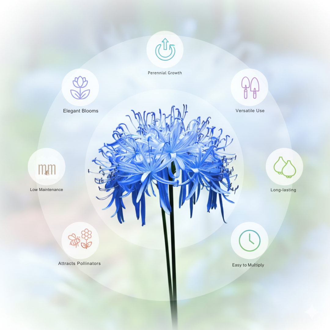 Lily Equinox Flower Bulbs Seeds