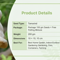 Gronaa Tamarind Seeds (Free Pot Mixture 100 gm)