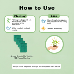 Organic Mix Varieties 100 Pices Seeds With 5 Pices Grow Bag