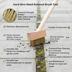 Hard Wire Weed Removal Brush Tool